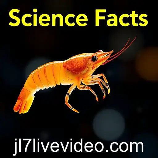 The Impact of Gaming on Modern Society